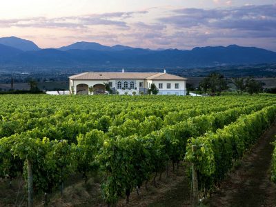 Cantina Lungarotti a Turrita di Montefalco