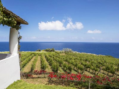 Care's a Salina, Eolie
