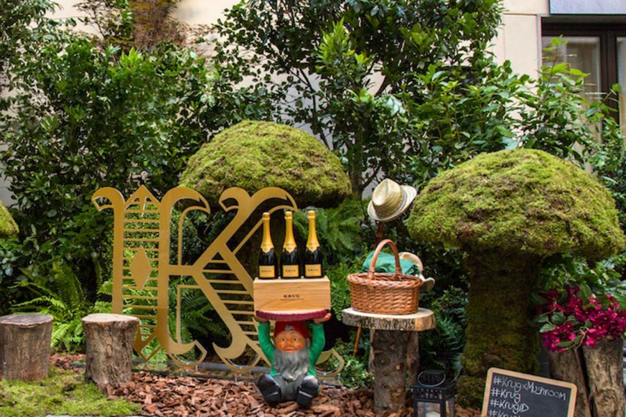 Krug x Mushroom