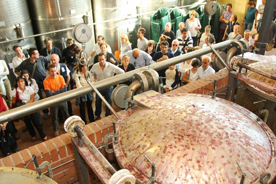 Grapperie aperte