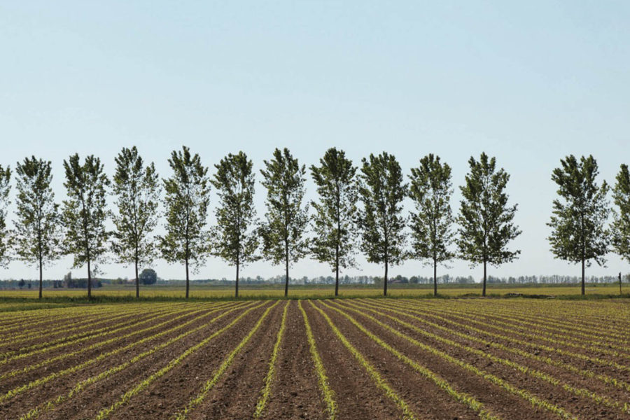 Ca' Corniani, paesaggio