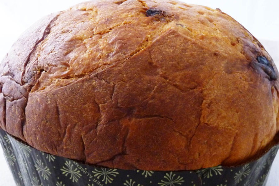 Daniel Canzian, Panettone Omaggio a Milano